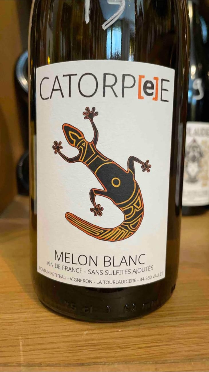 Catorpee Blanc - Domaine de la Tourlaudière - Romain Petiteau 