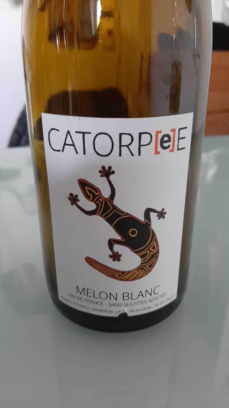 Catorpee Blanc - Domaine de la Tourlaudière - Romain Petiteau 