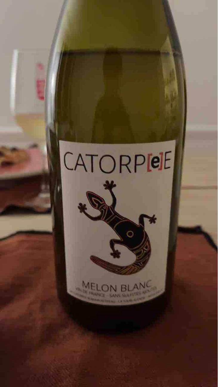 Catorpee Blanc - Domaine de la Tourlaudière - Romain Petiteau 