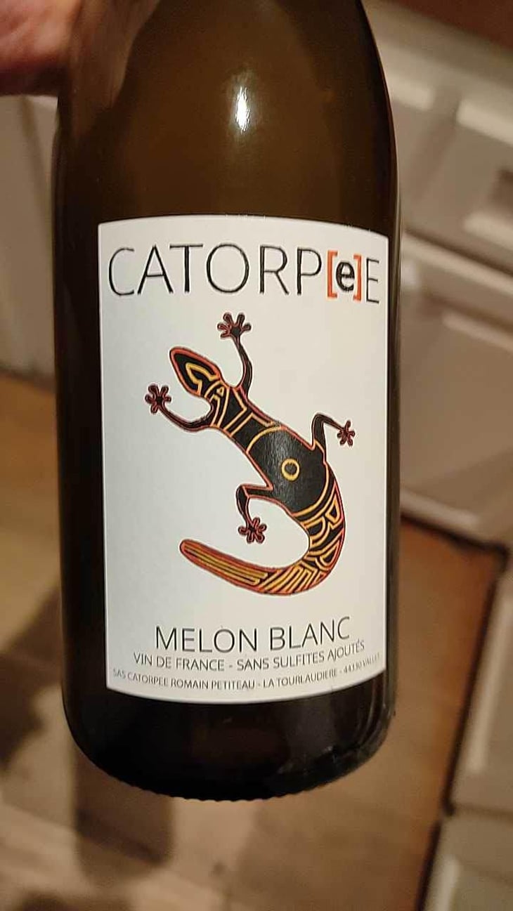Catorpee Blanc - Domaine de la Tourlaudière - Romain Petiteau 