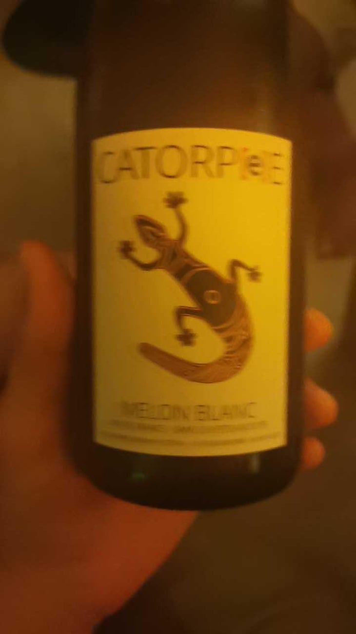 Catorpee Blanc - Domaine de la Tourlaudière - Romain Petiteau 