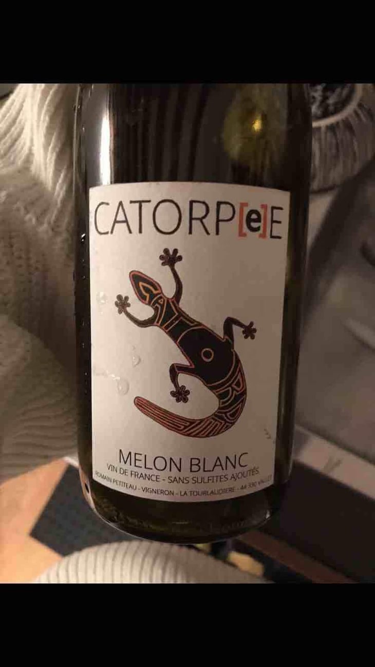 Catorpee Blanc - Domaine de la Tourlaudière - Romain Petiteau 