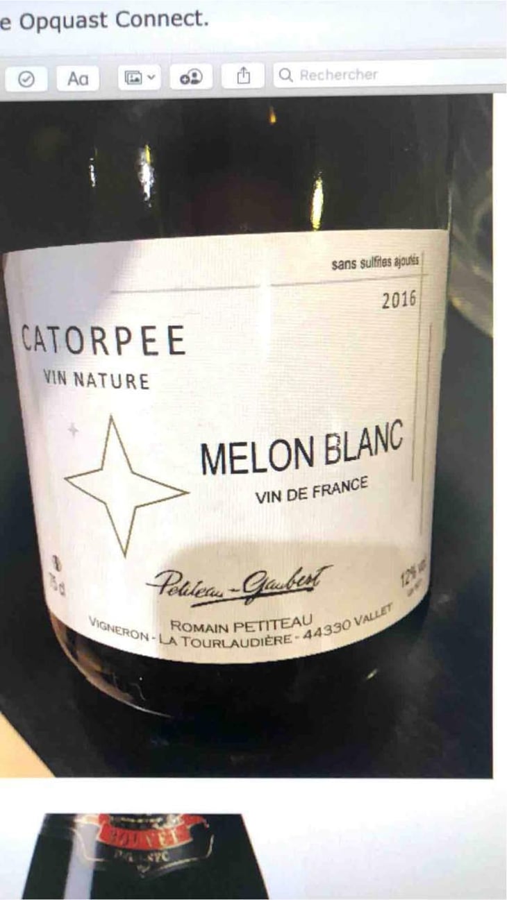 Catorpee Blanc - Domaine de la Tourlaudière - Romain Petiteau 