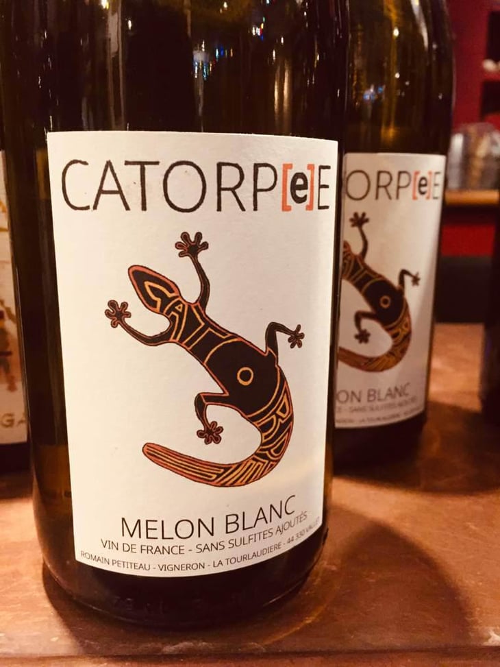 Catorpee Blanc - Domaine de la Tourlaudière - Romain Petiteau 