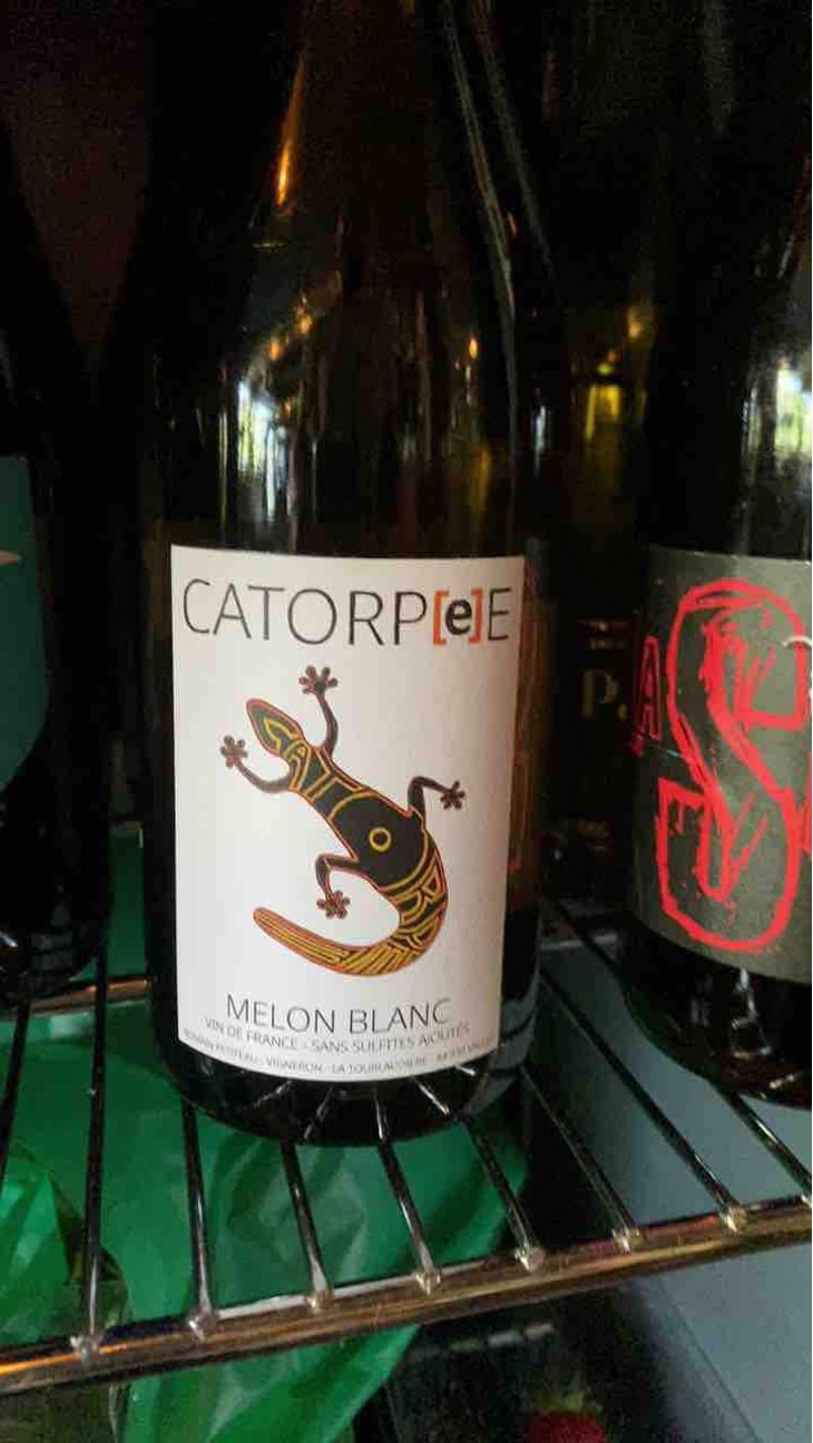 Catorpee Blanc - Domaine de la Tourlaudière - Romain Petiteau 