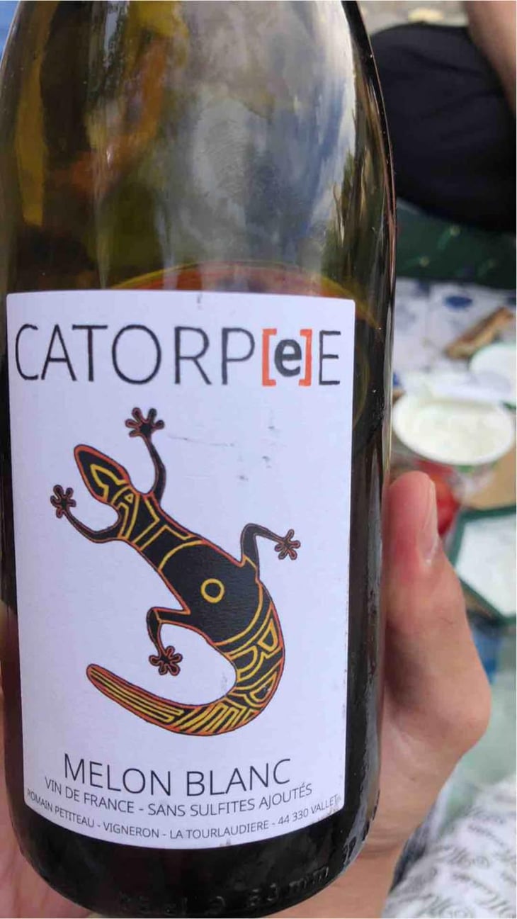 Catorpee Blanc - Domaine de la Tourlaudière - Romain Petiteau 