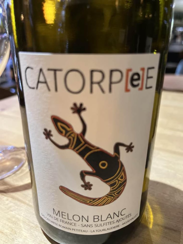 Catorpee Blanc - Domaine de la Tourlaudière - Romain Petiteau 