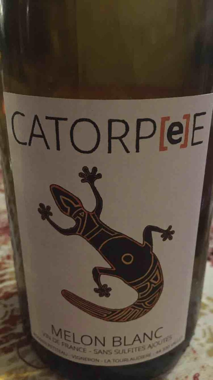 Catorpee Blanc - Domaine de la Tourlaudière - Romain Petiteau 