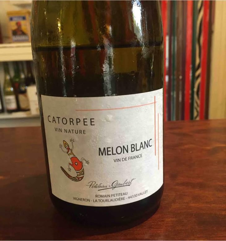 Catorpee - Domaine Petito Gaubert - Romain Petito 