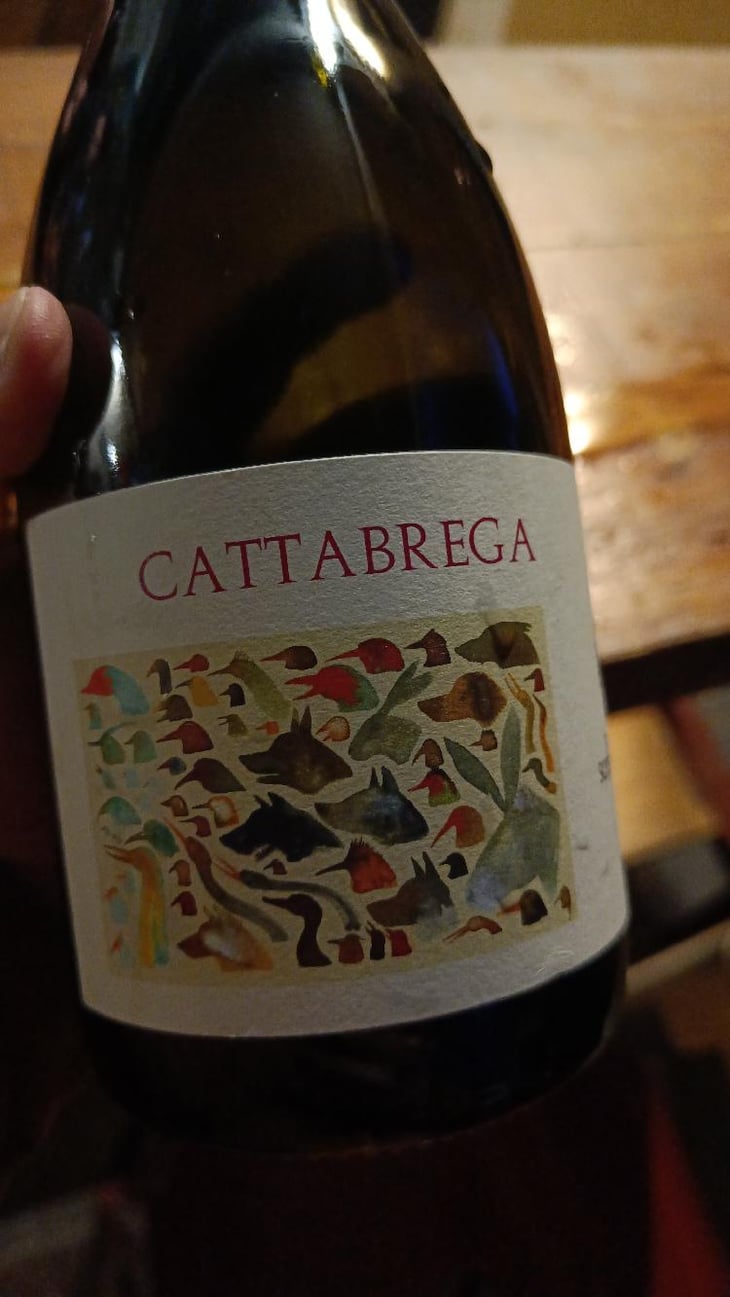Cattabrega - Podere Sottoilnoce - Max Brondolo 