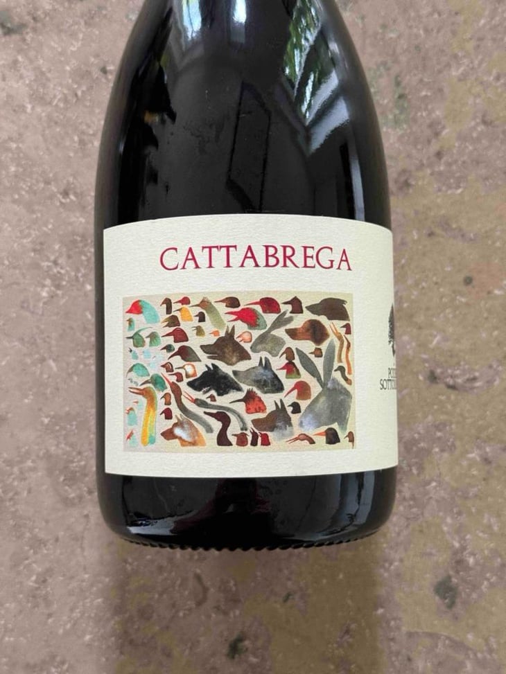 Cattabrega - Podere Sottoilnoce - Max Brondolo 