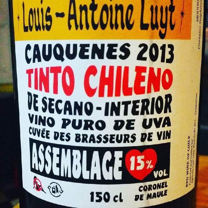 Assemblage - Agricola Luyt - Louis-Antoine Luyt 