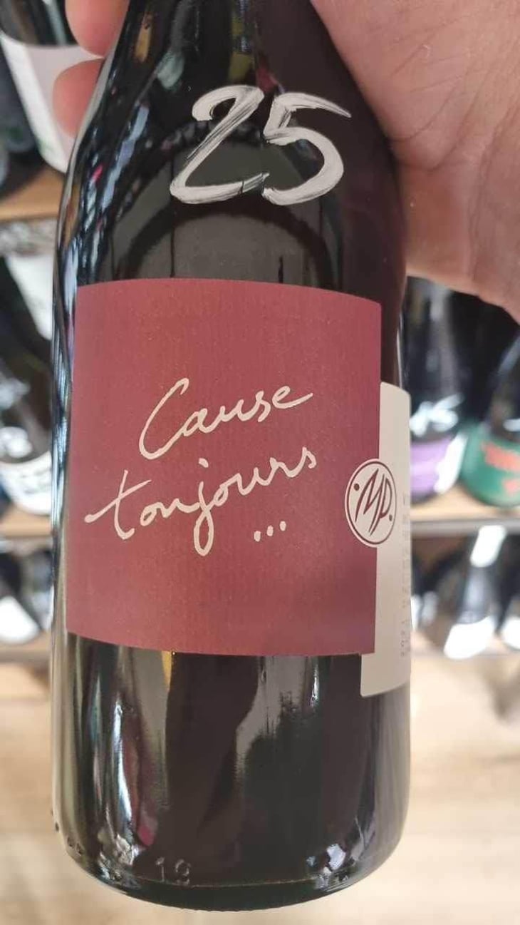 Cause Toujours - Le Mas de Mon Père - Frédéric Palacios 