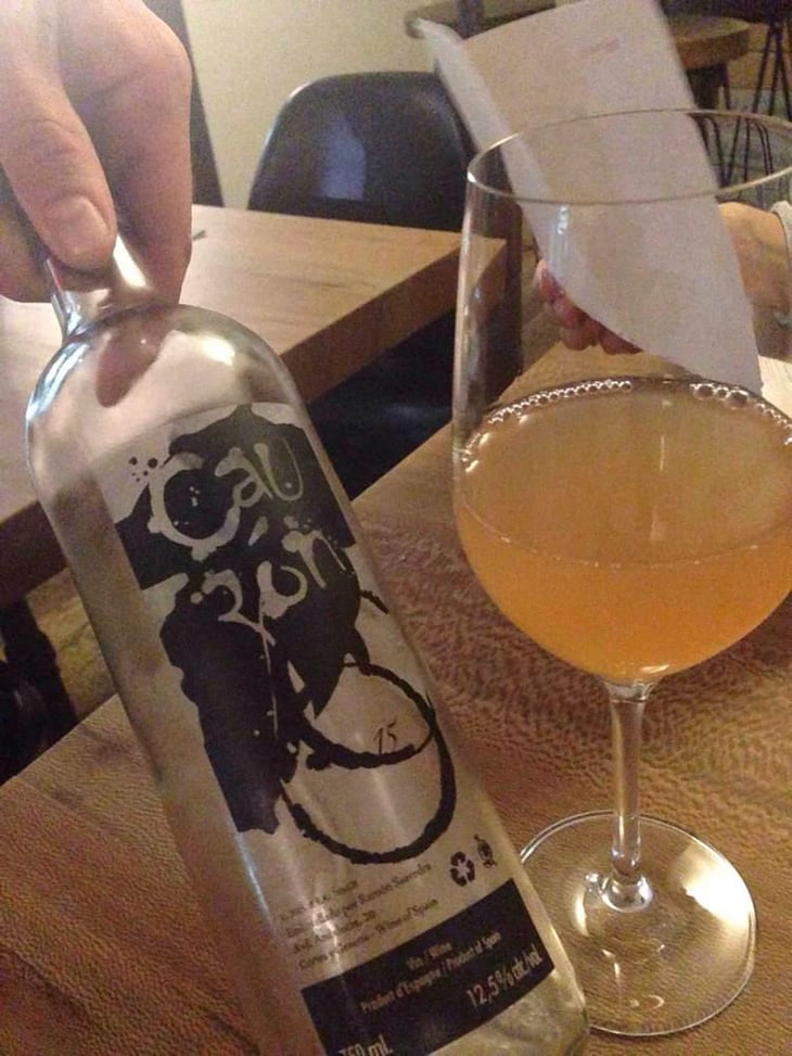 Cauzon Blanco 16 - Bodega Cauzon - Ramón Saavedra 