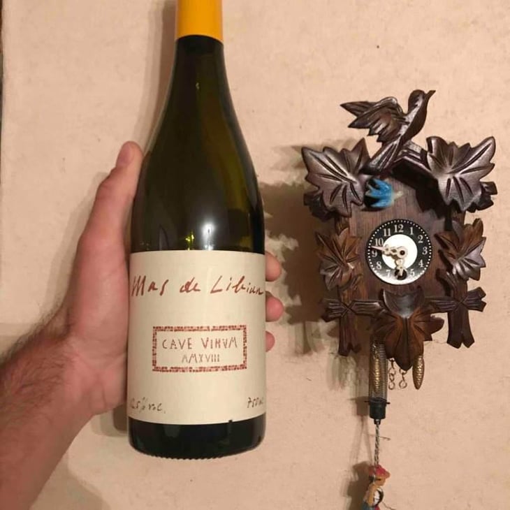 Cave Vinum - Mas de Libian - Hélène Thibon 