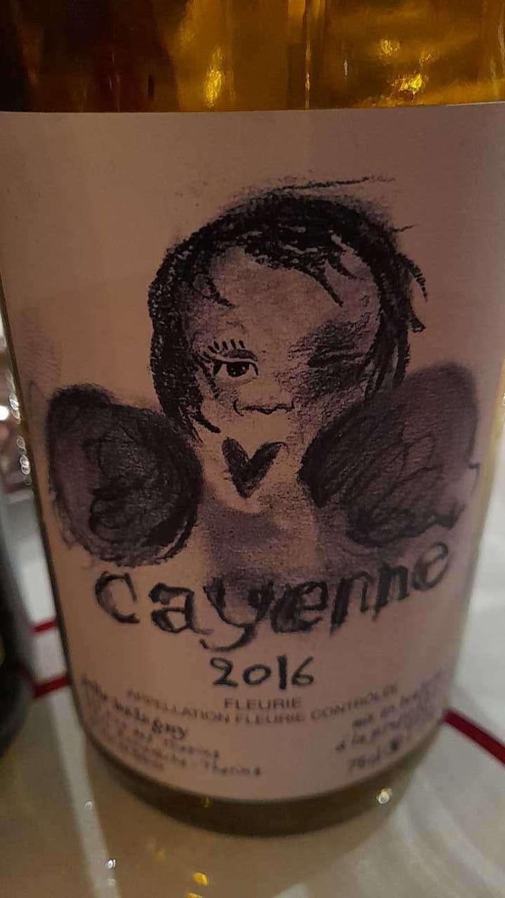 Cayenne (boxer) - Julie Balagny - Julie Balagny 