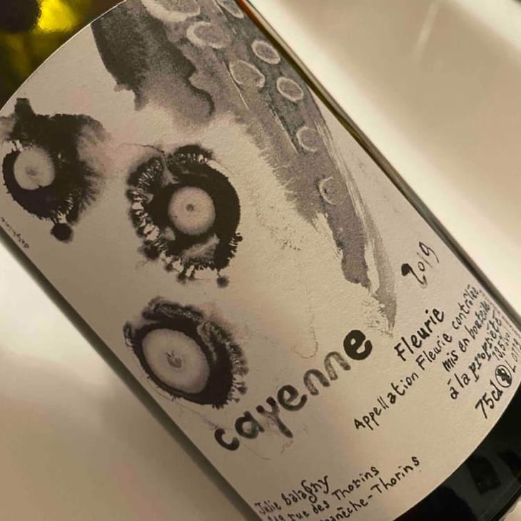 Cayenne (octopus) - Julie Balagny - Julie Balagny 