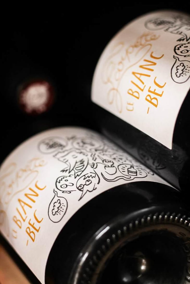 Ce Blanc-Bec - Les Vins de l'Arpette - Paul Chereau 