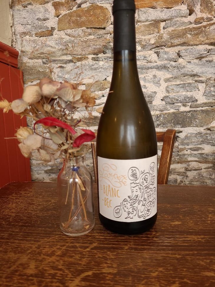 Ce Blanc-Bec - Les Vins de l'Arpette - Paul Chereau 
