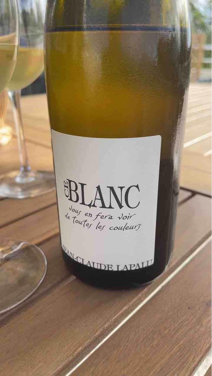 Ce Blanc vous en fera voir de toutes les couleurs - Jean-Claude Lapalu - Jean-Claude Lapalu 