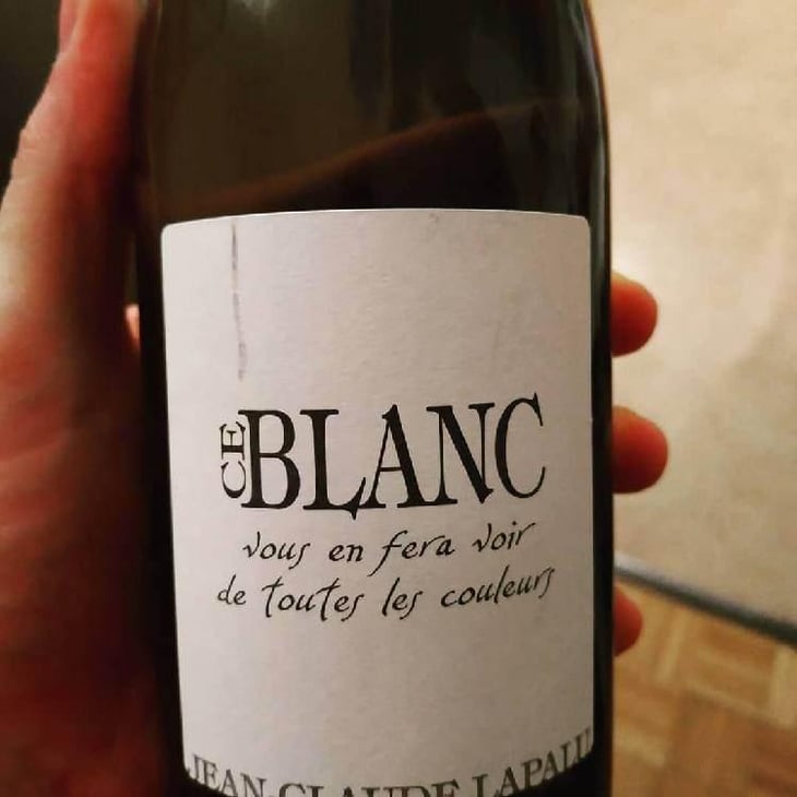 Ce Blanc vous en fera voir de toutes les couleurs - Jean-Claude Lapalu - Jean-Claude Lapalu 