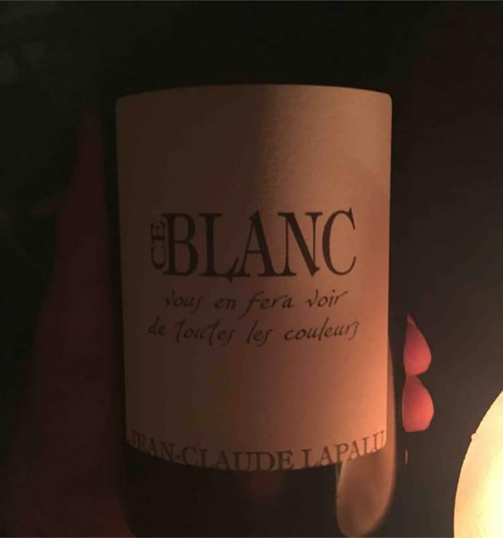 Ce Blanc vous en fera voir de toutes les couleurs - Jean-Claude Lapalu - Jean-Claude Lapalu 