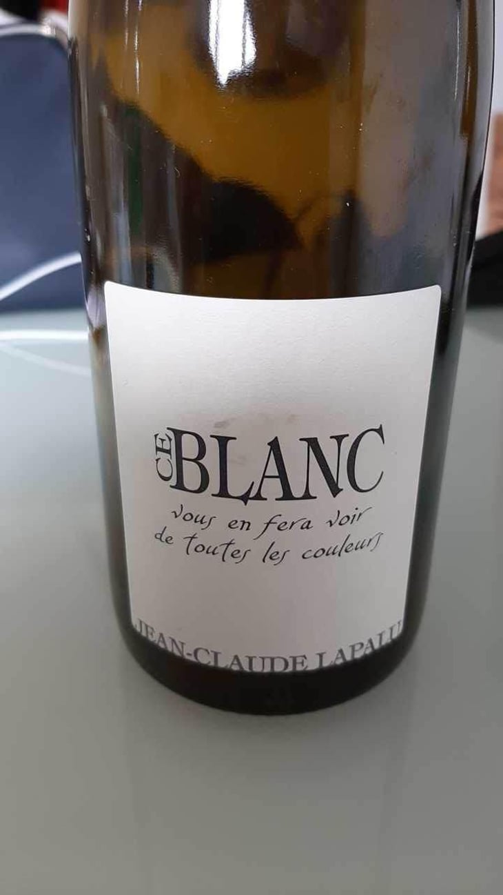 Ce Blanc vous en fera voir de toutes les couleurs - Jean-Claude Lapalu - Jean-Claude Lapalu 