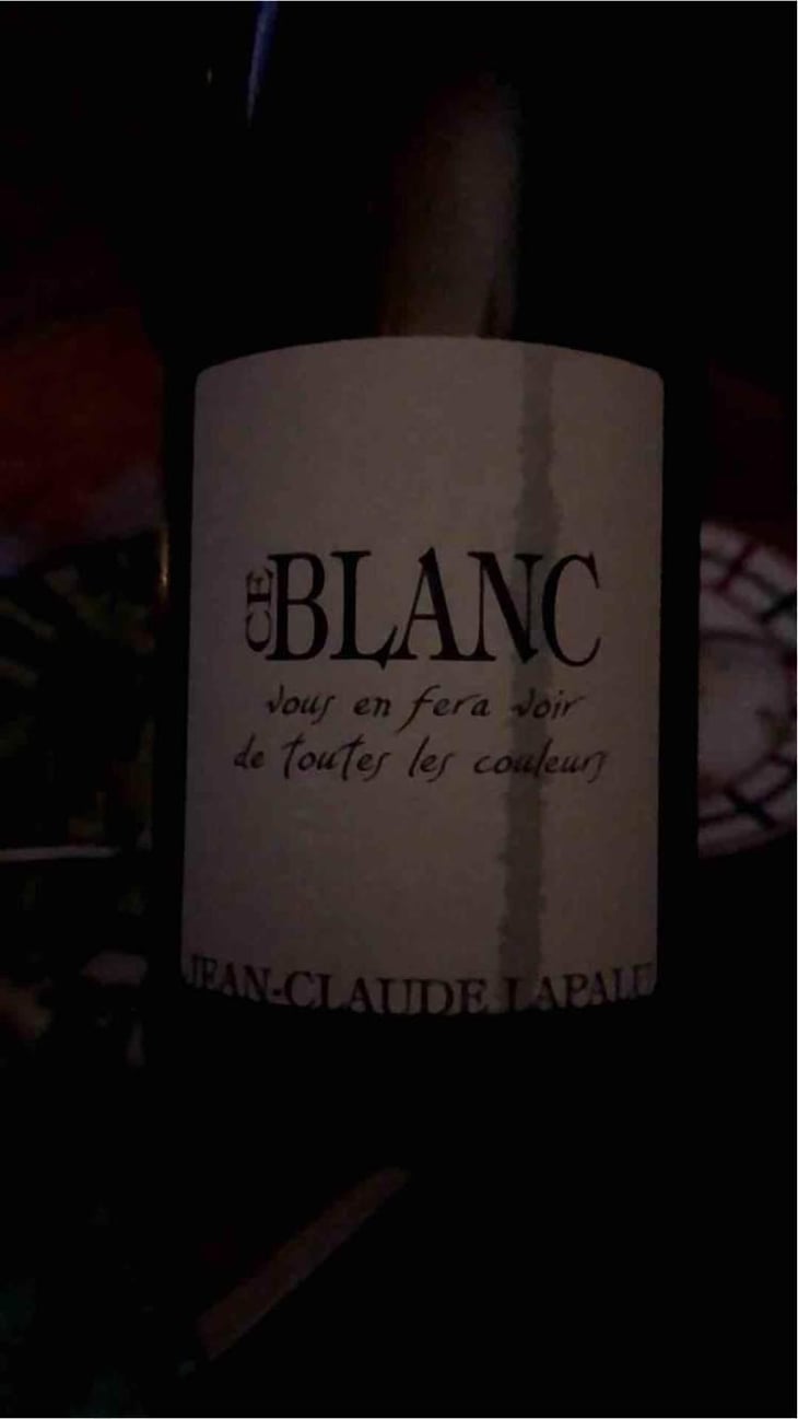 Ce Blanc vous en fera voir de toutes les couleurs - Jean-Claude Lapalu - Jean-Claude Lapalu 