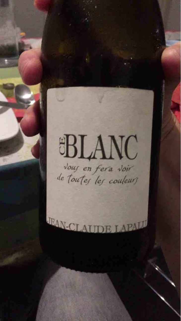 Ce Blanc vous en fera voir de toutes les couleurs - Jean-Claude Lapalu - Jean-Claude Lapalu 