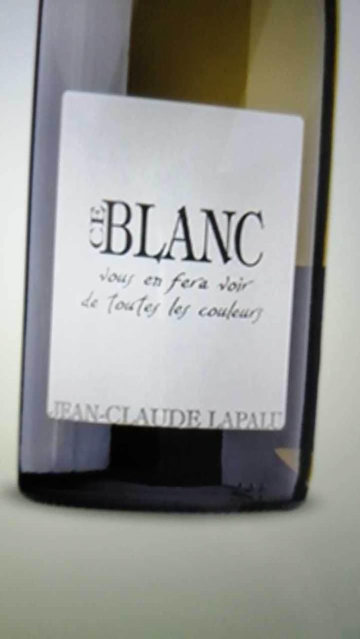 Ce Blanc vous en fera voir de toutes les couleurs - Jean-Claude Lapalu - Jean-Claude Lapalu 