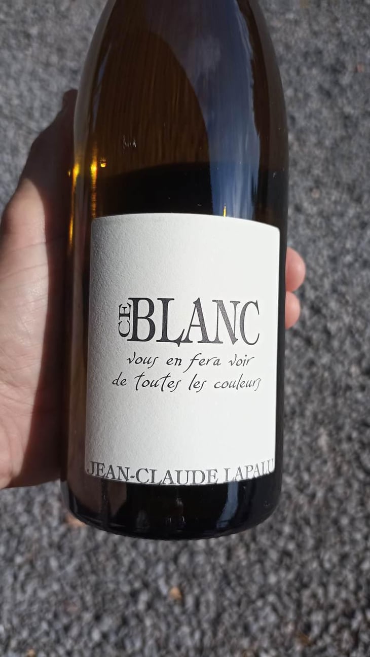 Ce Blanc vous en fera voir de toutes les couleurs - Jean-Claude Lapalu - Jean-Claude Lapalu 