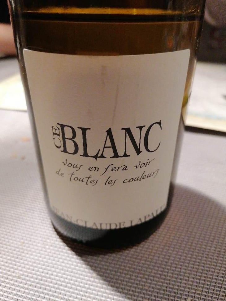 Ce Blanc vous en fera voir de toutes les couleurs - Jean-Claude Lapalu - Jean-Claude Lapalu 