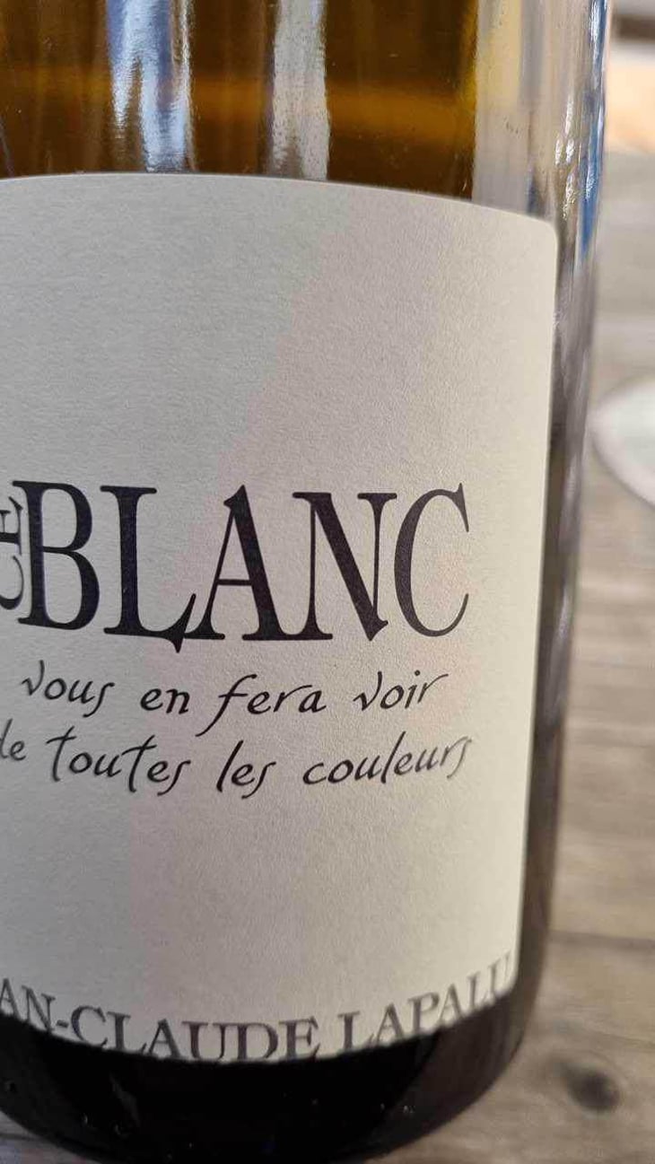 Ce Blanc vous en fera voir de toutes les couleurs - Jean-Claude Lapalu - Jean-Claude Lapalu 