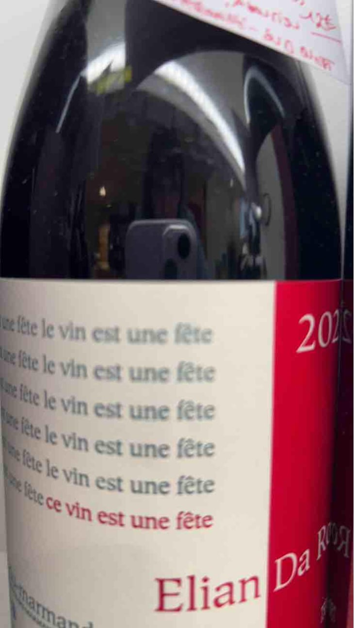 Ce Vin Est Une Fête - Elian Da Ros - Sandrine et Elian Da Ros 
