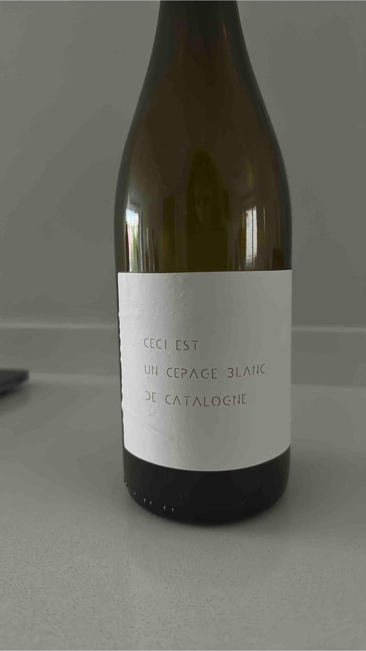 Ceci Est Un Cepage Blanc De Catalogne - Ronald Joachin - Ronald Joachin -2019
