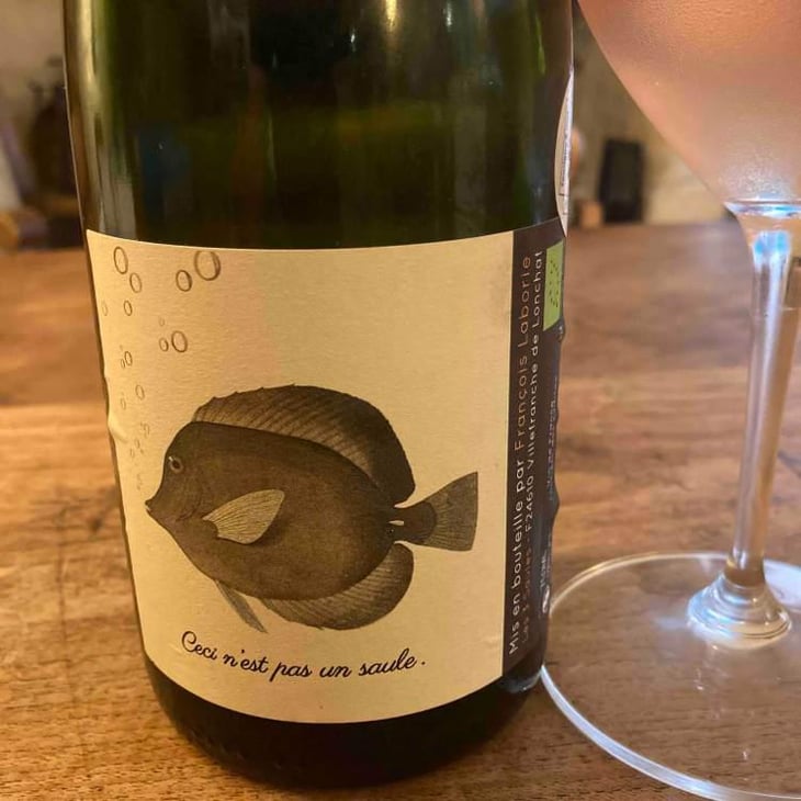 Ceci N'est Pas Un Saule - Domaine Les 3 Saules - François Laborie 