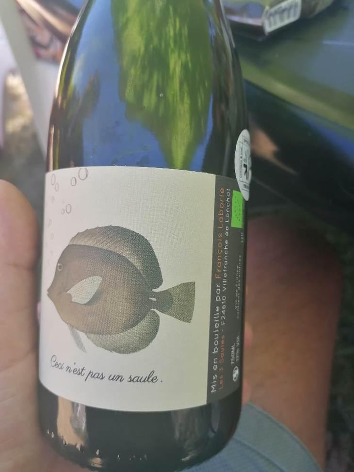 Ceci N'est Pas Un Saule - Domaine Les 3 Saules - François Laborie 