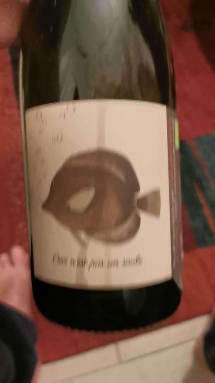 Ceci N'est Pas Un Saule - Domaine Les 3 Saules - François Laborie 