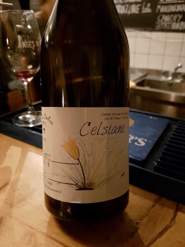 Celsiane - Thomas Boutin - Thomas Boutin 