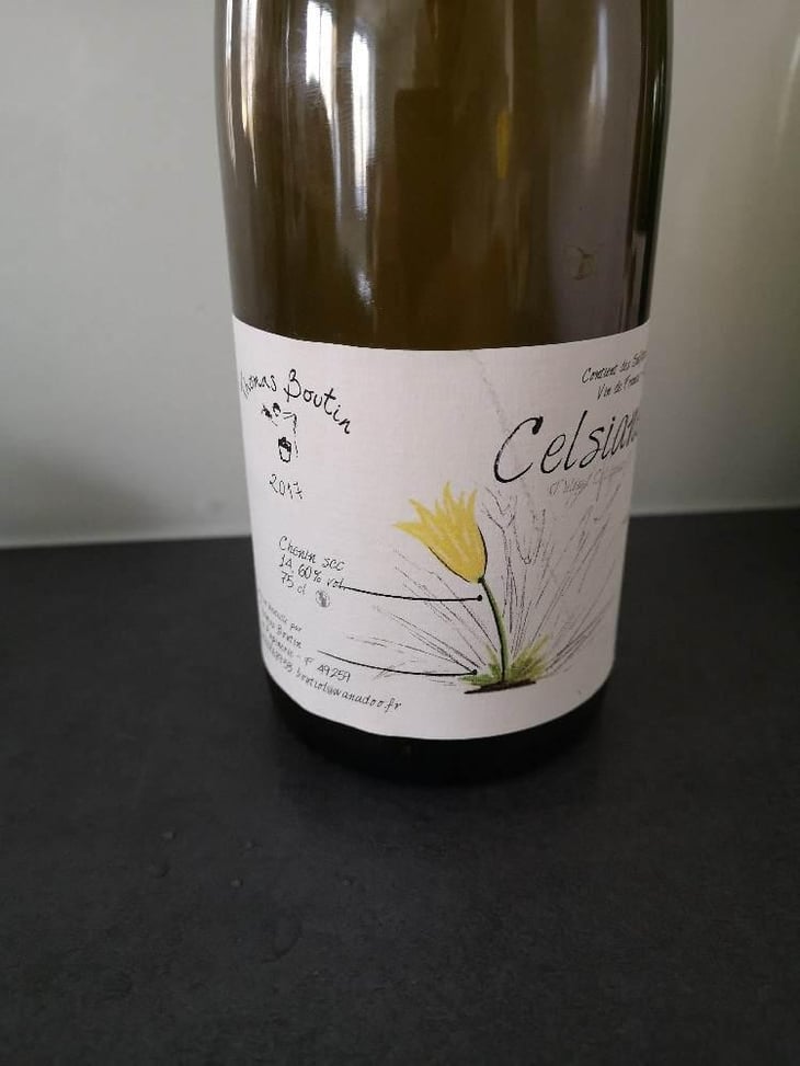 Celsiane - Thomas Boutin - Thomas Boutin 