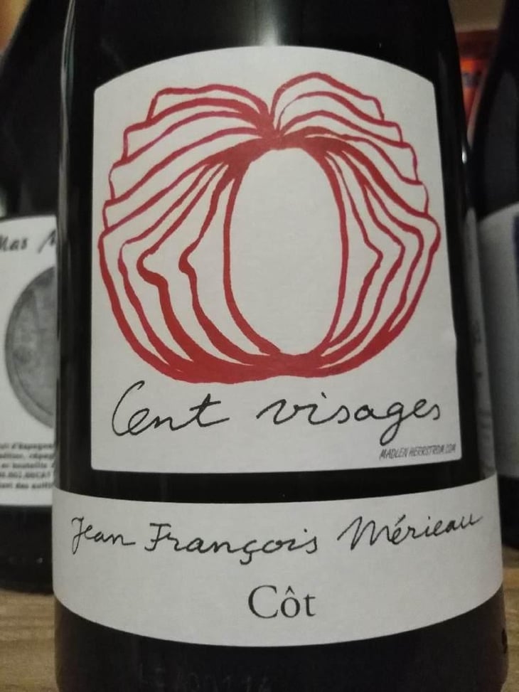 Cent Visages - Jean François Mérieau - Jean François Mérieau 