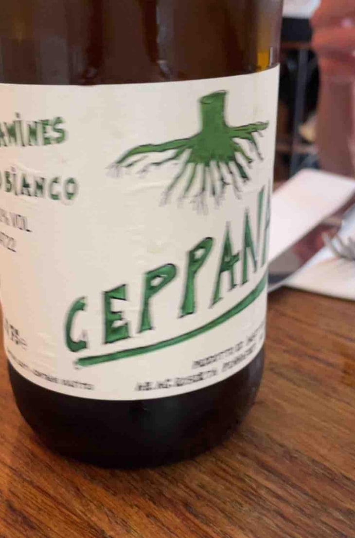 CeppaNat Bianco Pet-nat - Piccolo Podere del Ceppaiolo - Danilo Marcucci & Riccardo Pennaforti 