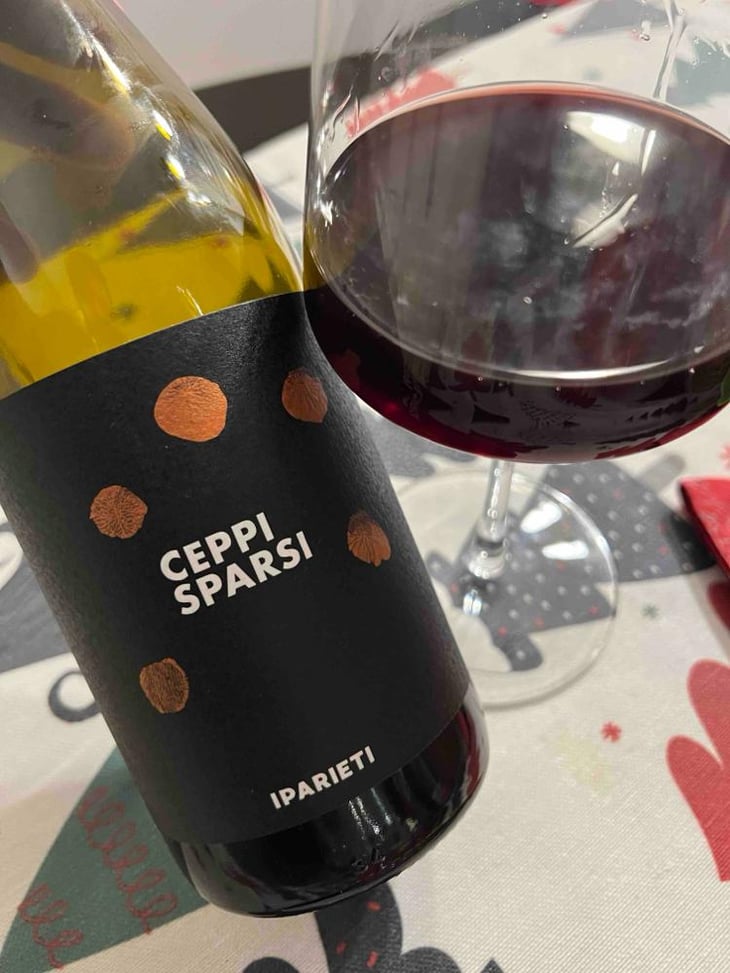 Ceppi sparsi - I parieti - Matteo Santoiemma -2020