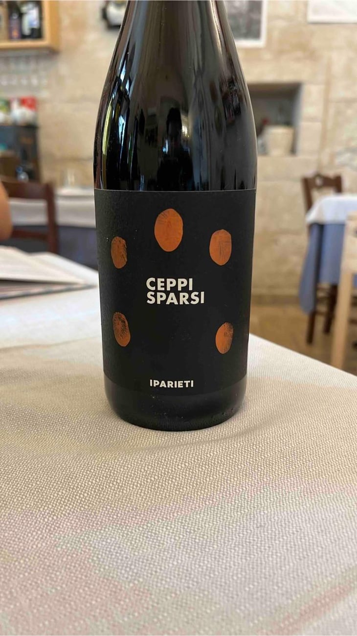Ceppi sparsi - I parieti - Matteo Santoiemma -2020