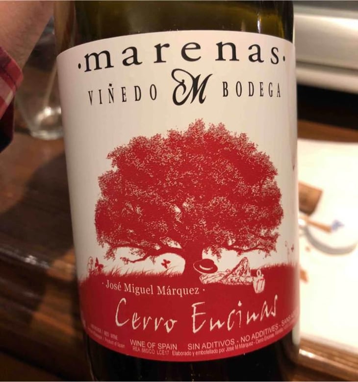 Cerro Encinas - Marenas Viñedo y Bodega - José Miguel Márquez Herrador 