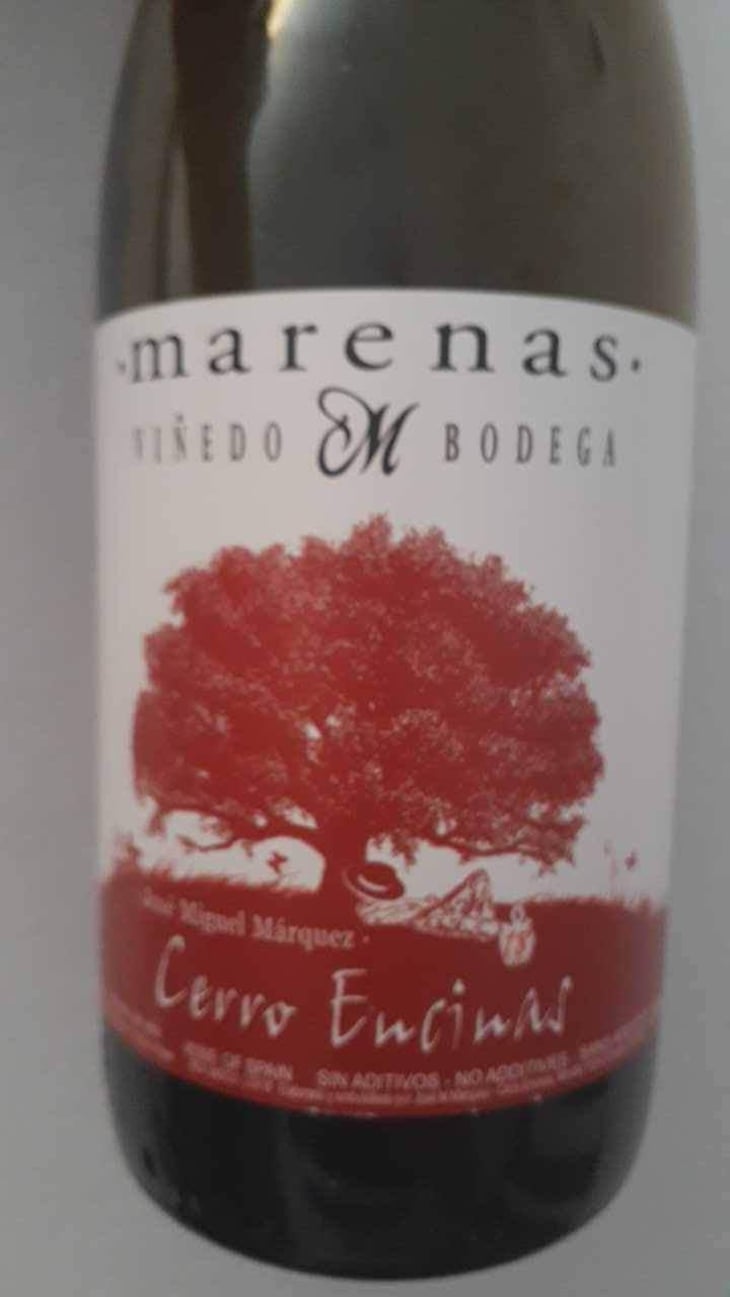 Cerro Encinas - Marenas Viñedo y Bodega - José Miguel Márquez Herrador 