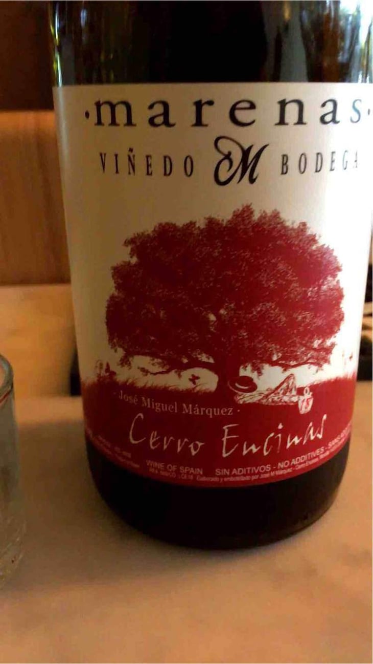 Cerro Encinas - Marenas Viñedo y Bodega - José Miguel Márquez Herrador 