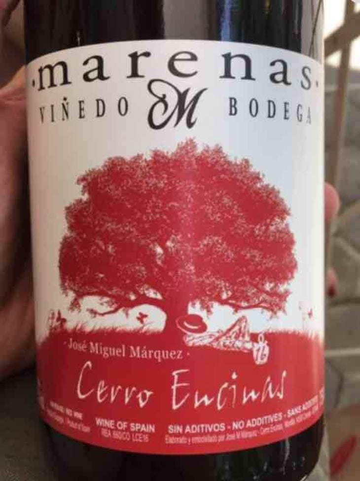 Cerro Encinas - Marenas Viñedo y Bodega - José Miguel Márquez Herrador 