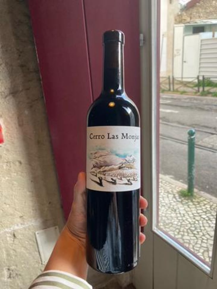 1368 Cerro Las Monjas - Barranco Oscuro - Manuel & Lorenzo Valenzuela 