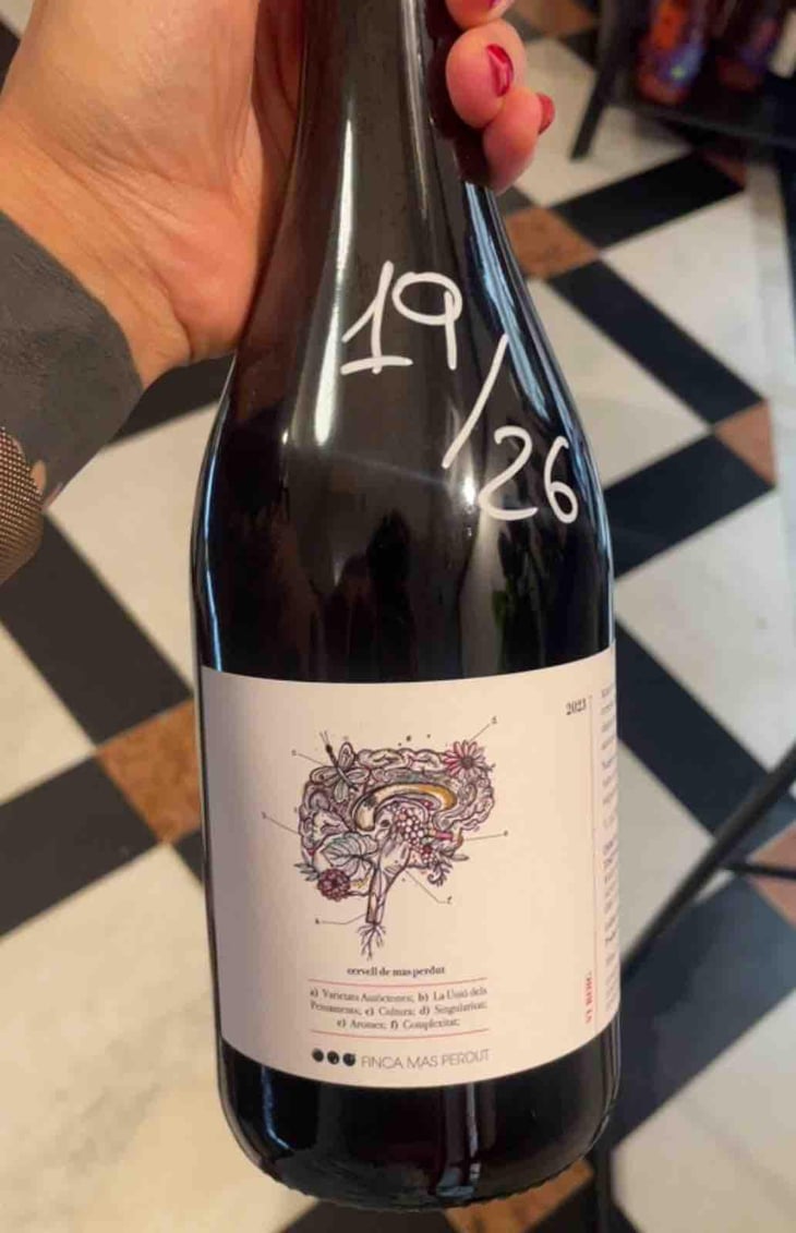 Cervell de Mas Perdut - Finca Mas Perdut - Josep i Rebeca -2021